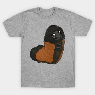 Polite Wooly Bear Caterpillar T-Shirt